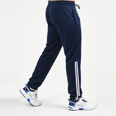 Striped Joggers 2.0 Navy